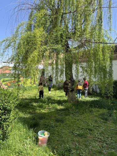 photo_2025-06-30_09-49-17